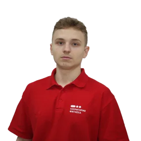 Андрей Рыбников