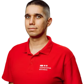 Александр Волков